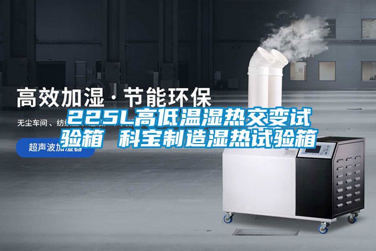 欧美成色手机在线观看 225L高低温湿热交变试验箱 科宝制造湿热试验箱