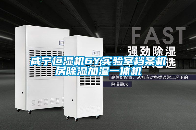 欧美黄色电影在线播放 咸宁恒湿机6Y实验室档案机房除湿加湿一体机