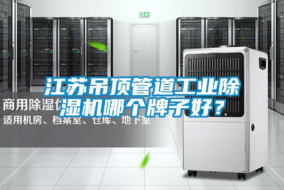 欧美黄色电影在线播放 江苏吊顶管道工业除湿机哪个牌子好？