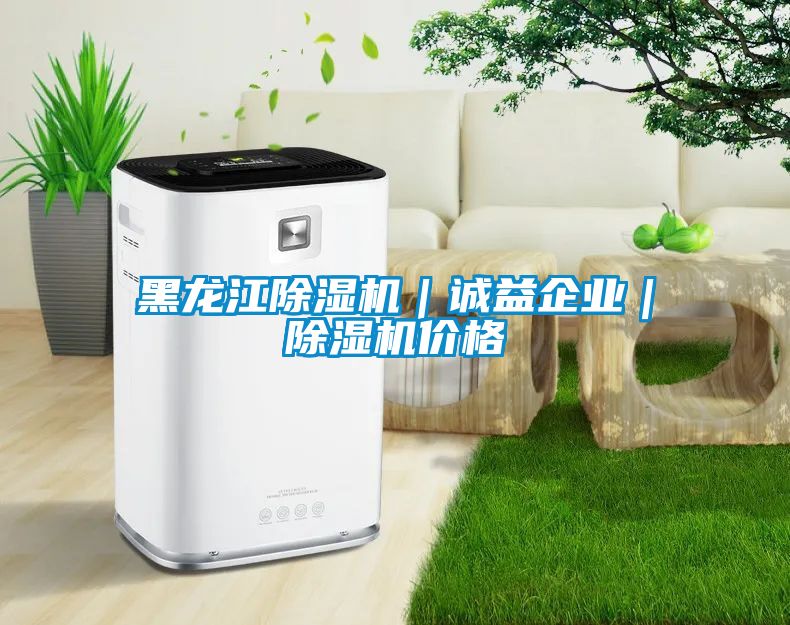 欧美成色手机在线观看 黑龙江除湿机｜诚益企业｜除湿机价格
