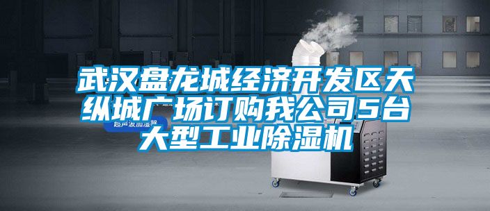 欧美成色手机在线观看 武汉盘龙城经济开发区天纵城广场订购我公司5台大型工业除湿机