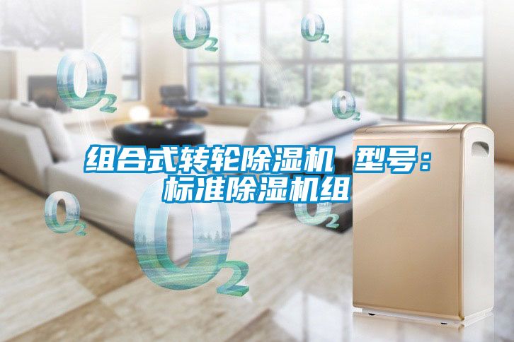 欧美成色手机在线观看 组合式转轮除湿机 型号：标准除湿机组