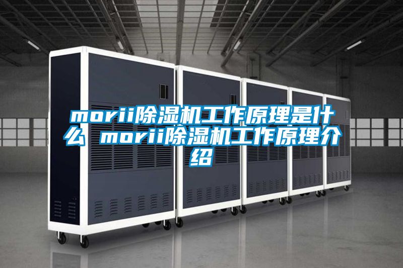 欧美成色手机在线观看 morii除湿机工作原理是什么 morii除湿机工作原理介绍