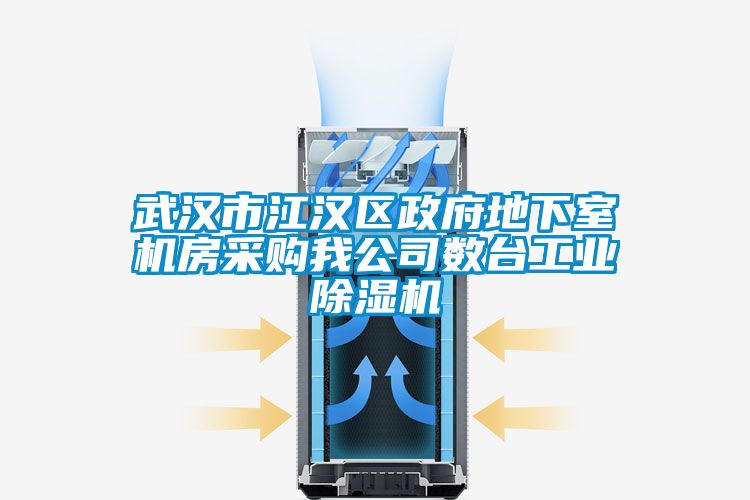欧美黄色性爱视频网站 武汉市江汉区政府地下室机房采购我公司数台工业除湿机