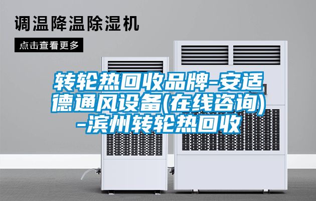 欧美成色手机在线观看 转轮热回收品牌-安适德通风设备(在线咨询)-滨州转轮热回收
