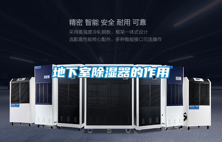 欧美成色手机在线观看 地下室除湿器的作用
