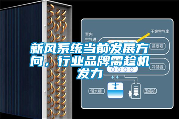 欧美黄色电影在线播放 新风系统当前发展方向，行业品牌需趁机发力