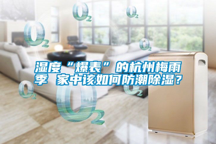 欧美黄色电影在线播放 湿度“爆表”的杭州梅雨季 家中该如何防潮除湿？