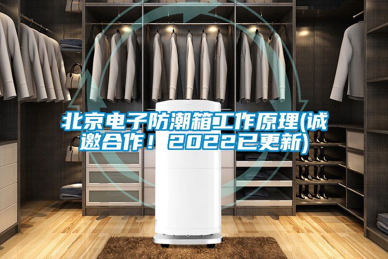 欧美成色手机在线观看 北京电子防潮箱工作原理(诚邀合作！2022已更新)