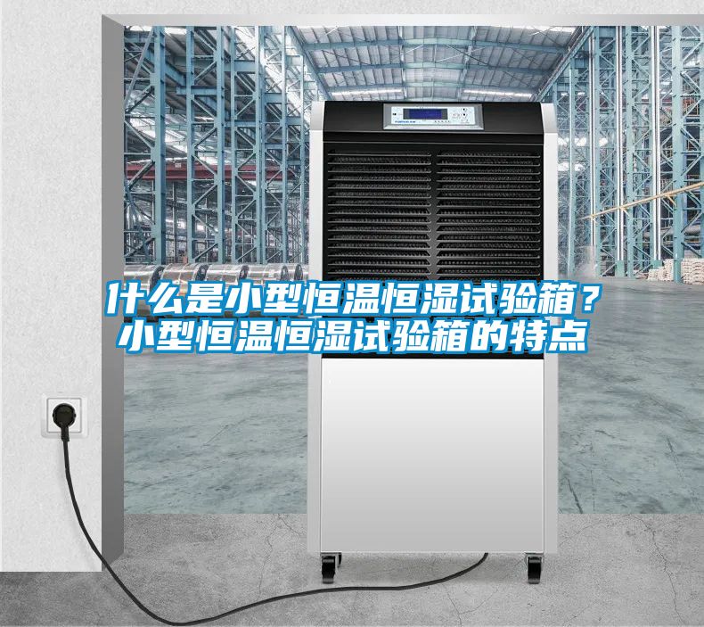 欧美黄色性爱视频网站 什么是小型恒温恒湿试验箱？小型恒温恒湿试验箱的特点
