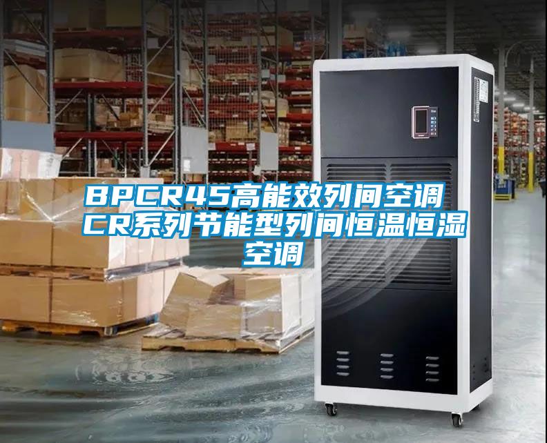 欧美黄色性爱视频网站 BPCR45高能效列间空调 CR系列节能型列间恒温恒湿空调