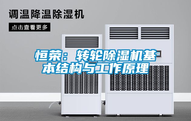 欧美黄色电影在线播放 恒荣：转轮除湿机基本结构与工作原理