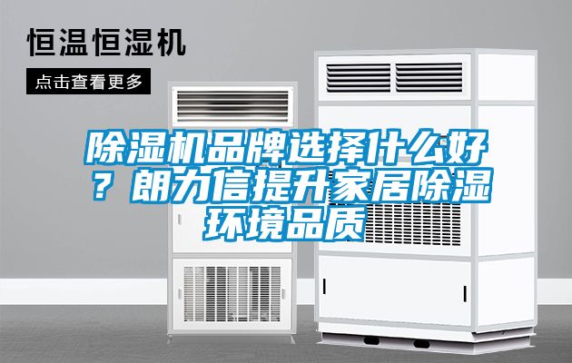 欧美黄色性爱视频网站 除湿机品牌选择什么好？朗力信提升家居除湿环境品质