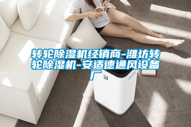欧美成色手机在线观看 转轮除湿机经销商-潍坊转轮除湿机-安适德通风设备厂