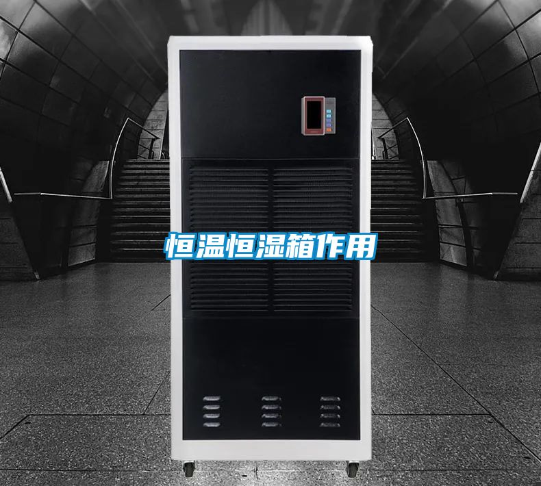 欧美成色手机在线观看 恒温恒湿箱作用