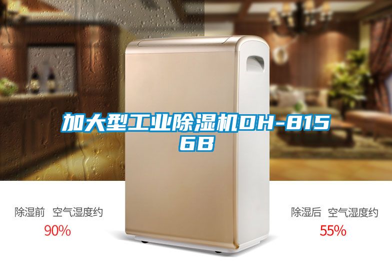 欧美黄色性爱视频网站 加大型工业除湿机DH-8156B