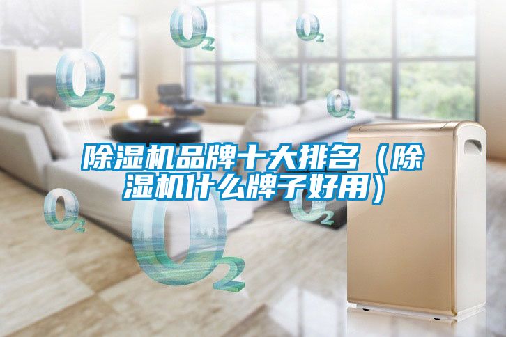 欧美黄色电影在线播放 除湿机品牌十大排名（除湿机什么牌子好用）