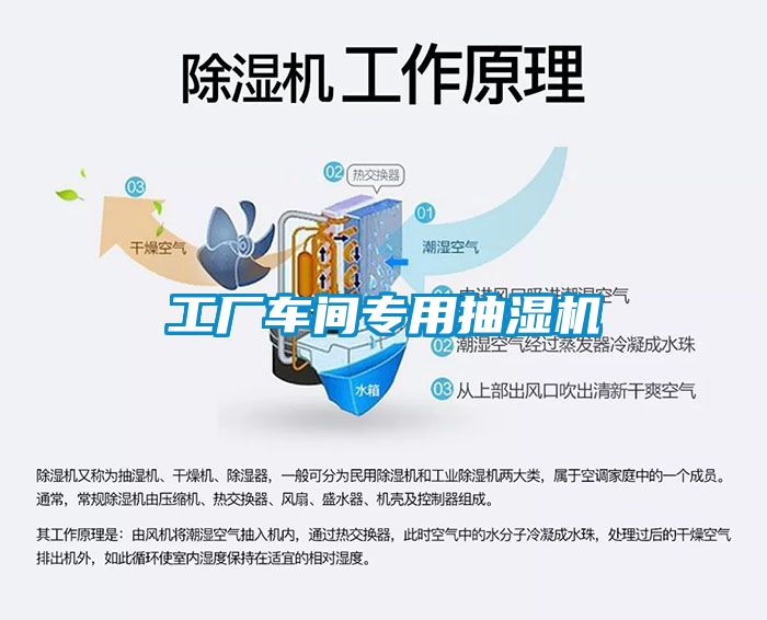欧美成色手机在线观看 工厂车间专用抽湿机