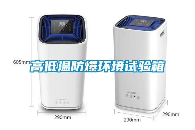 欧美黄色性爱视频网站 高低温防爆环境试验箱