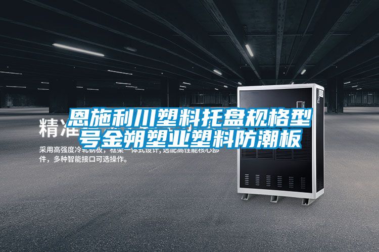 欧美成色手机在线观看 恩施利川塑料托盘规格型号金朔塑业塑料防潮板