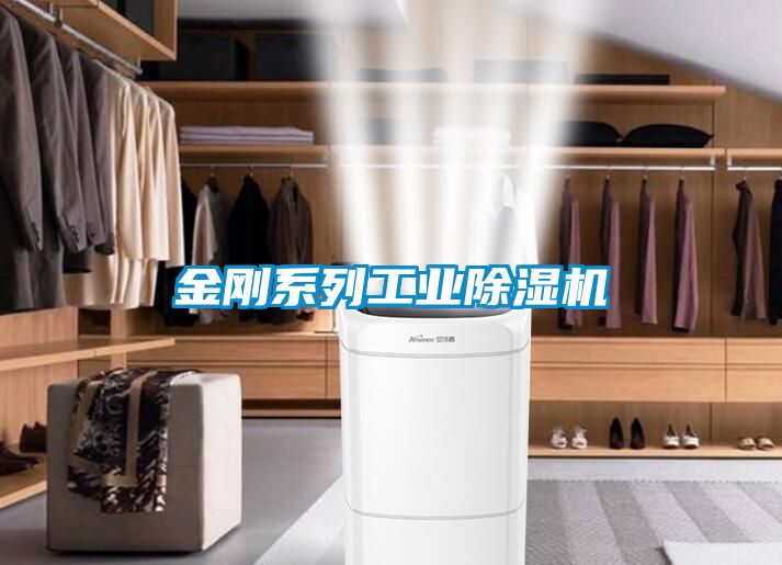 欧美黄色电影在线播放 金刚系列工业除湿机