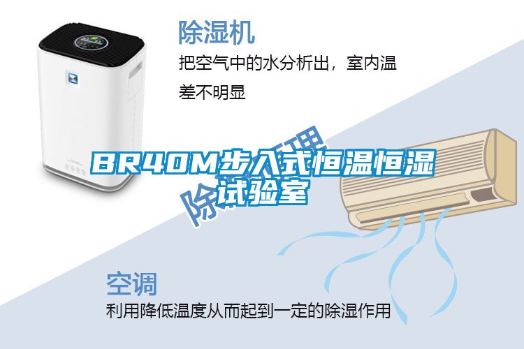 欧美成色手机在线观看 BR40M步入式恒温恒湿试验室