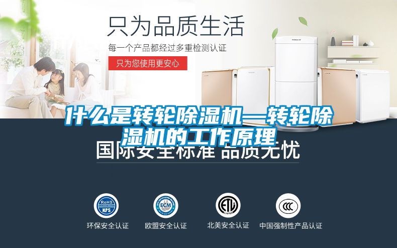 欧美黄色电影在线播放 什么是转轮除湿机—转轮除湿机的工作原理