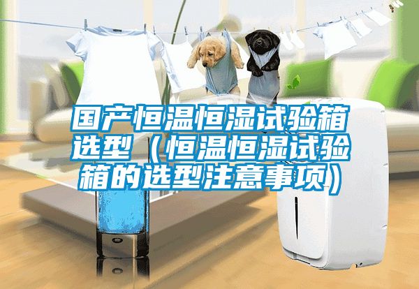欧美黄色性爱视频网站 国产恒温恒湿试验箱选型（恒温恒湿试验箱的选型注意事项）