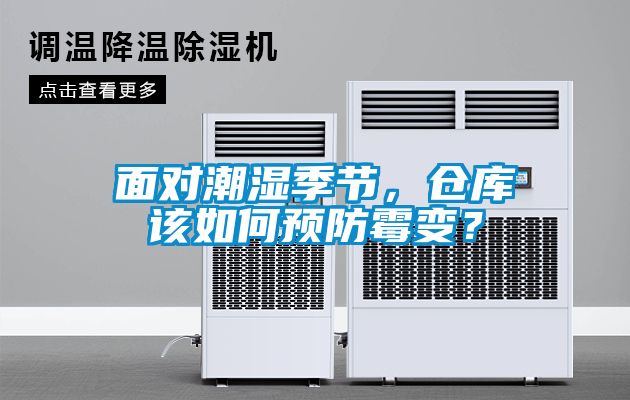 欧美成色手机在线观看 面对潮湿季节，仓库该如何预防霉变？