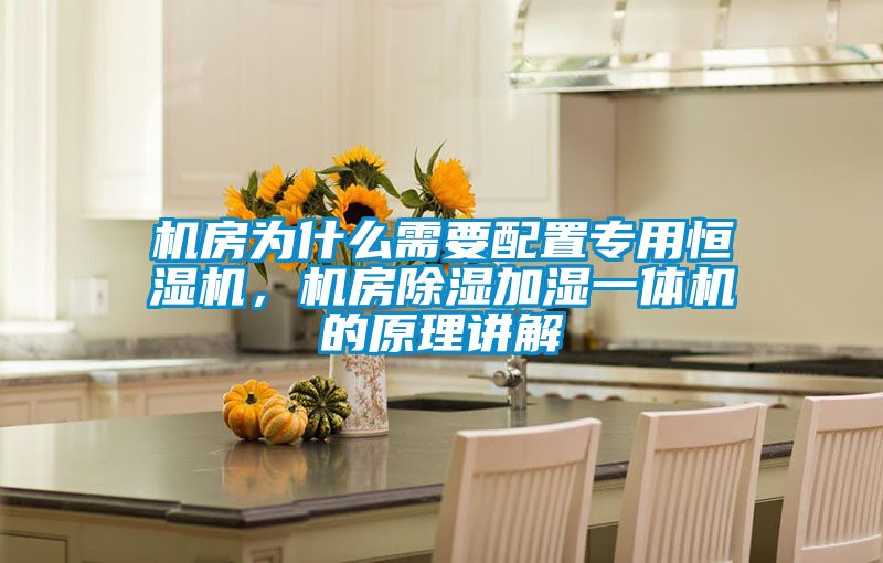 欧美黄色性爱视频网站 机房为什么需要配置专用恒湿机，机房除湿加湿一体机的原理讲解