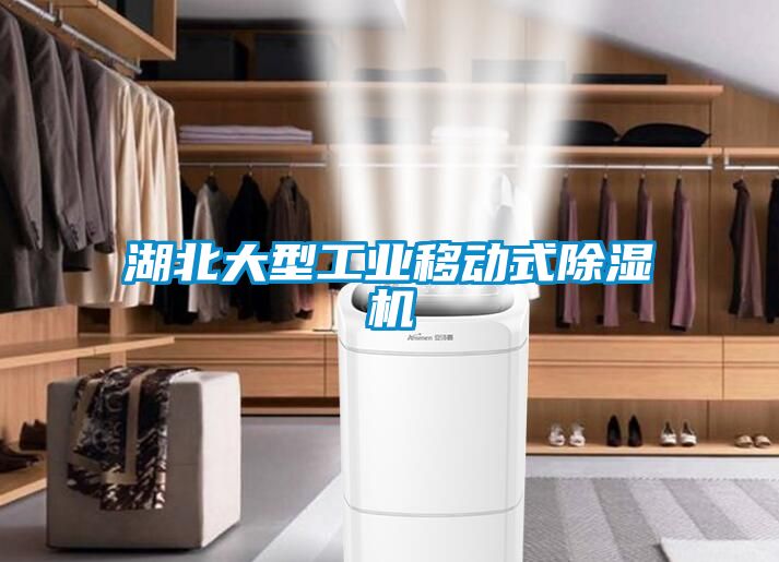 欧美黄色电影在线播放 湖北大型工业移动式除湿机
