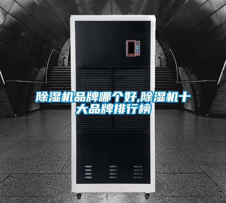 欧美黄色性爱视频网站 除湿机品牌哪个好,除湿机十大品牌排行榜