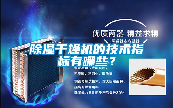 欧美黄色电影在线播放 除湿干燥机的技术指标有哪些？