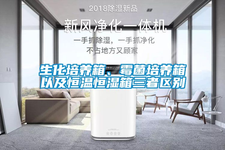 欧美黄色电影在线播放 生化培养箱、霉菌培养箱以及恒温恒湿箱三者区别