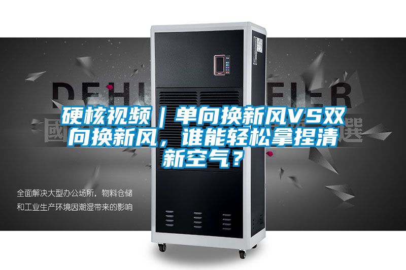 欧美黄色性爱视频网站 硬核视频｜单向换新风VS双向换新风，谁能轻松拿捏清新空气？