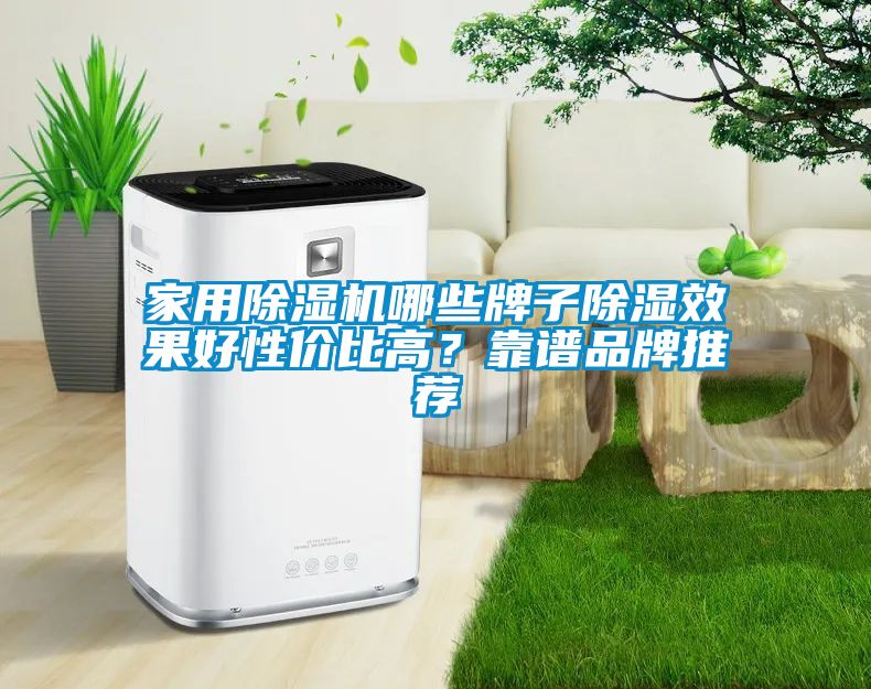 欧美成色手机在线观看 家用除湿机哪些牌子除湿效果好性价比高？靠谱品牌推荐