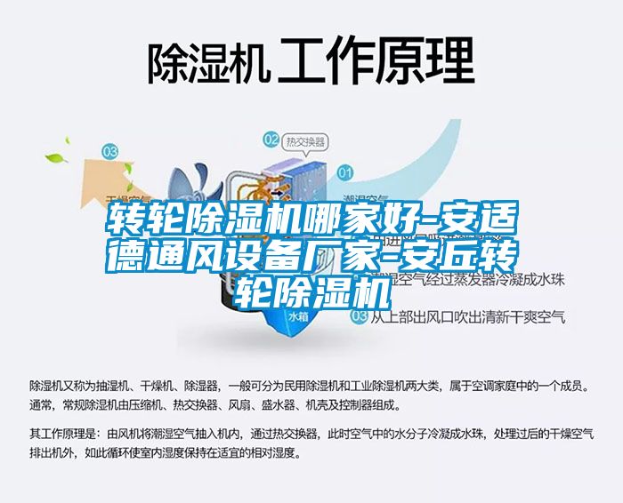 欧美黄色电影在线播放 转轮除湿机哪家好-安适德通风设备厂家-安丘转轮除湿机