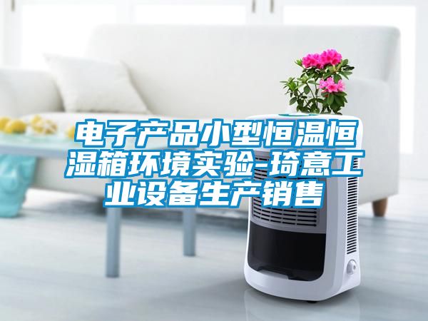 欧美黄色电影在线播放 电子产品小型恒温恒湿箱环境实验-琦意工业设备生产销售