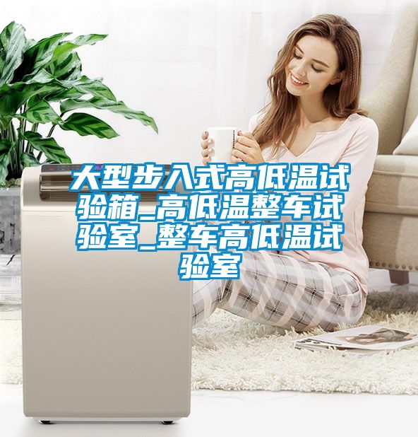 欧美黄色电影在线播放 大型步入式高低温试验箱_高低温整车试验室_整车高低温试验室