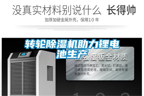欧美黄色电影在线播放 转轮除湿机助力锂电池生产