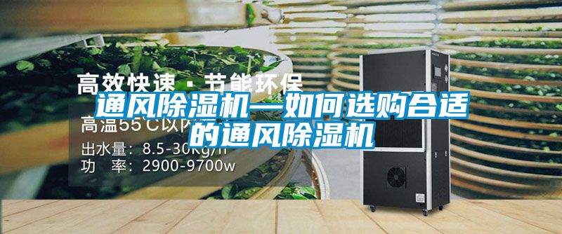 欧美成色手机在线观看 通风除湿机—如何选购合适的通风除湿机