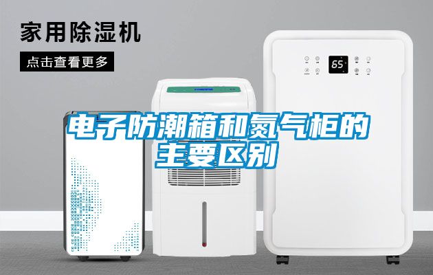 欧美黄色电影在线播放 电子防潮箱和氮气柜的主要区别