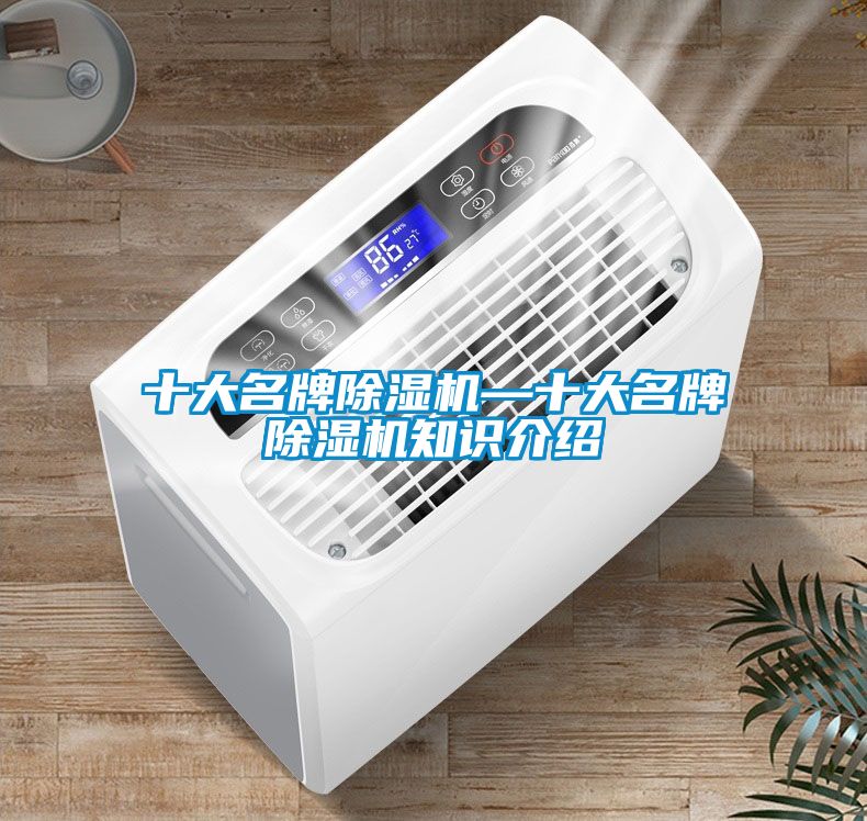 欧美黄色电影在线播放 十大名牌除湿机—十大名牌除湿机知识介绍