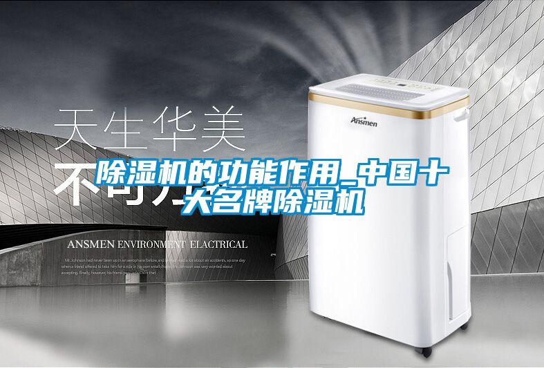欧美黄色性爱视频网站 除湿机的功能作用_中国十大名牌除湿机