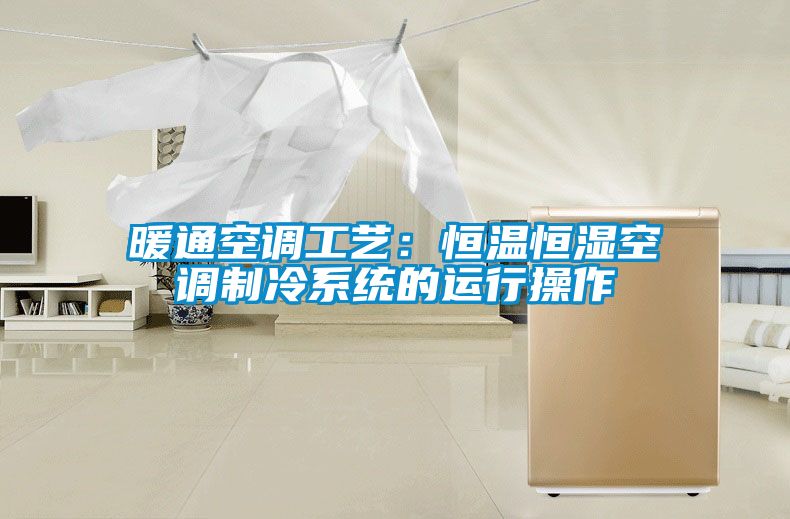 欧美黄色性爱视频网站 暖通空调工艺：恒温恒湿空调制冷系统的运行操作