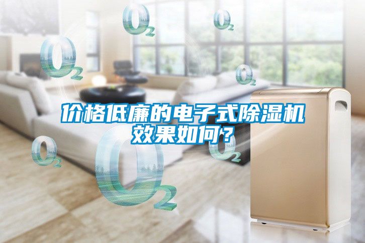 欧美黄色性爱视频网站 价格低廉的电子式除湿机效果如何？