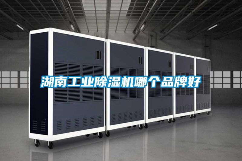 欧美成色手机在线观看 湖南工业除湿机哪个品牌好