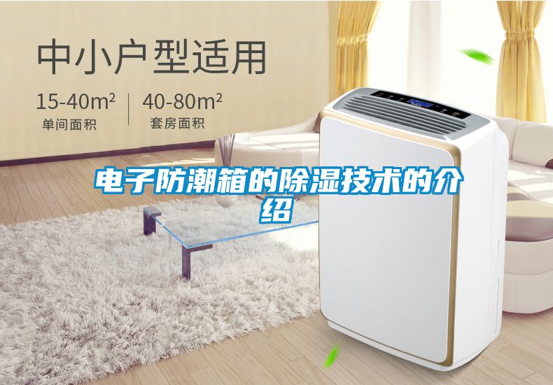 欧美成色手机在线观看 电子防潮箱的除湿技术的介绍