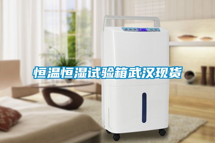 欧美黄色性爱视频网站 恒温恒湿试验箱武汉现货