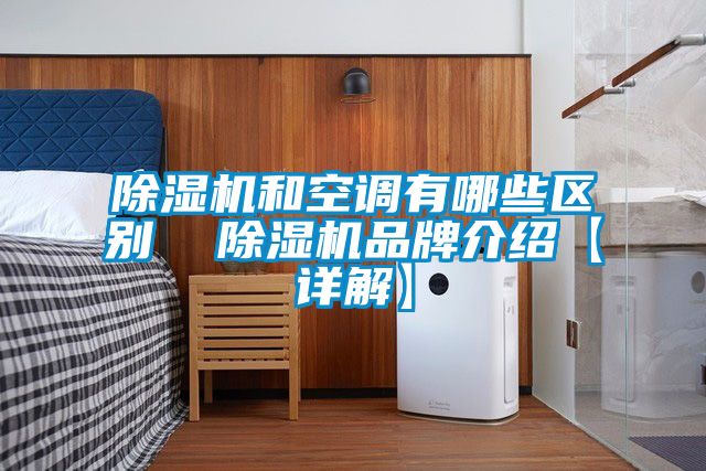 欧美成色手机在线观看 除湿机和空调有哪些区别  除湿机品牌介绍【详解】